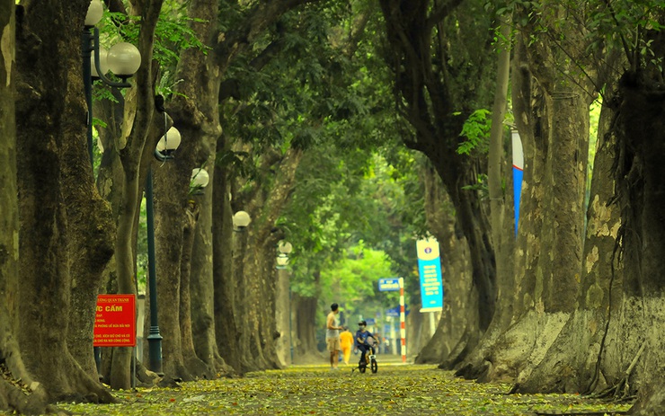 Top 12 cung đường đẹp nhất Việt Nam không nên bỏ qua