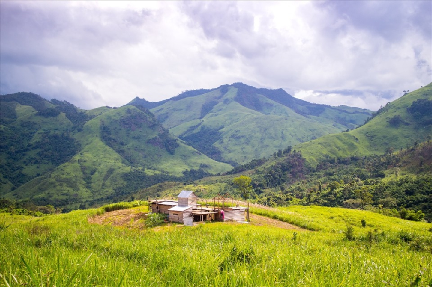 202406/16/cho-thue-xe-di-ta-giang-2-ngay-1-dem-lich-trinh-trekking-chi-tiet-rgv705.jpg