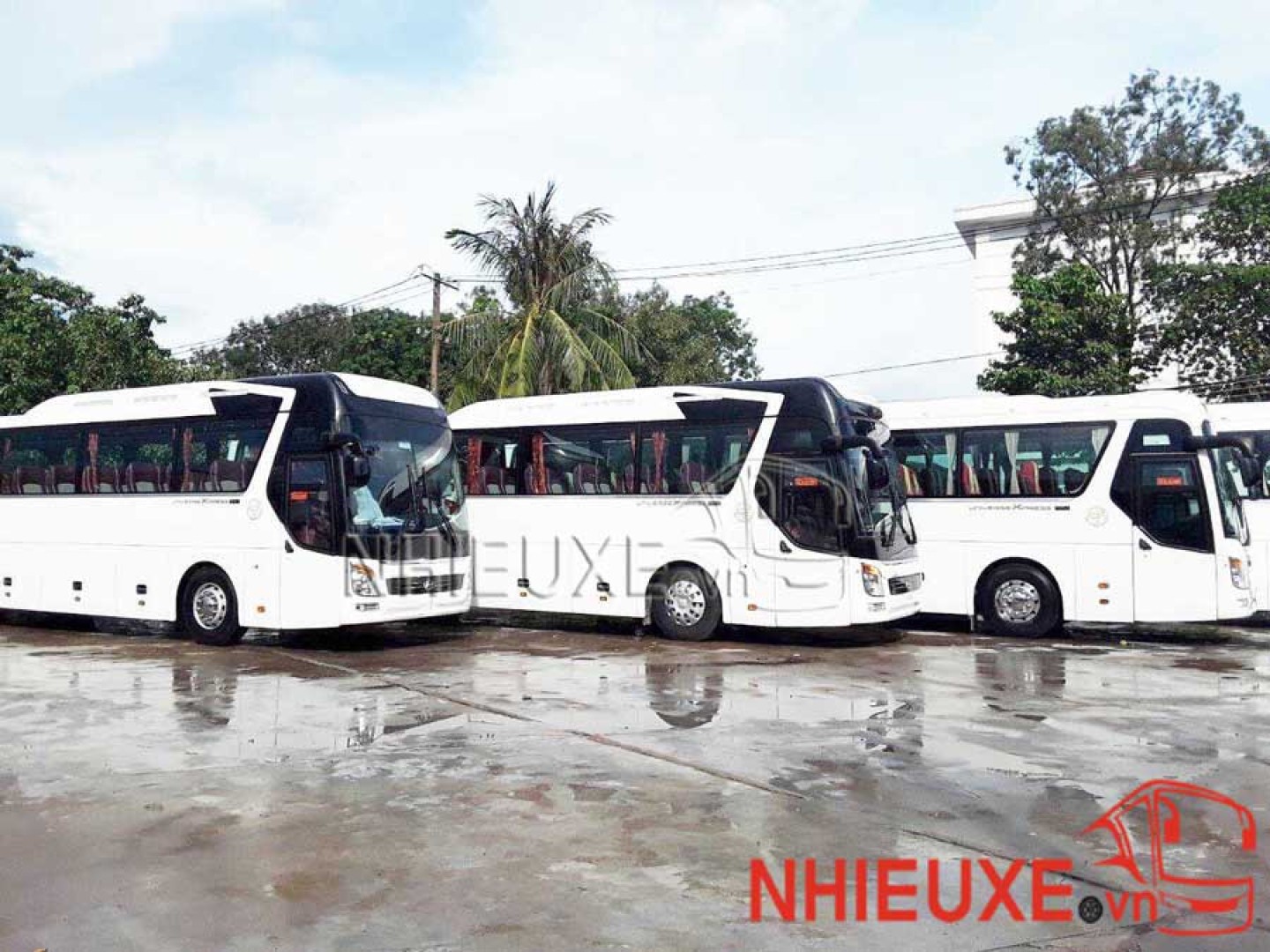 Thuê xe 45 chỗ đi Nhà Thờ Tắc Sậy