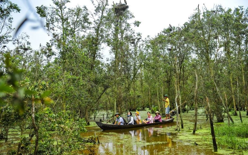 Khi đến vườn quốc gia Tràm Chim, bạn nên mặc quần áo thoải mái, dài tay để tránh côn trùng đốt