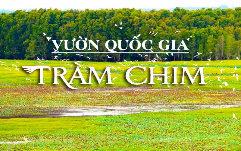 Vườn quốc gia Tràm Chim