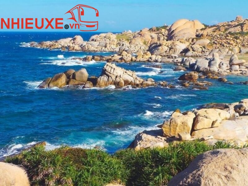 thuê xe đi Mũi Dinh Ninh Thuận
