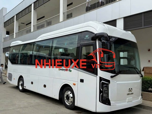 Xe Kim Long 29-N29
