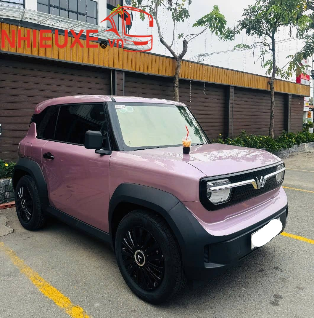 thuê xe vf3 tại hcm giá rẻ