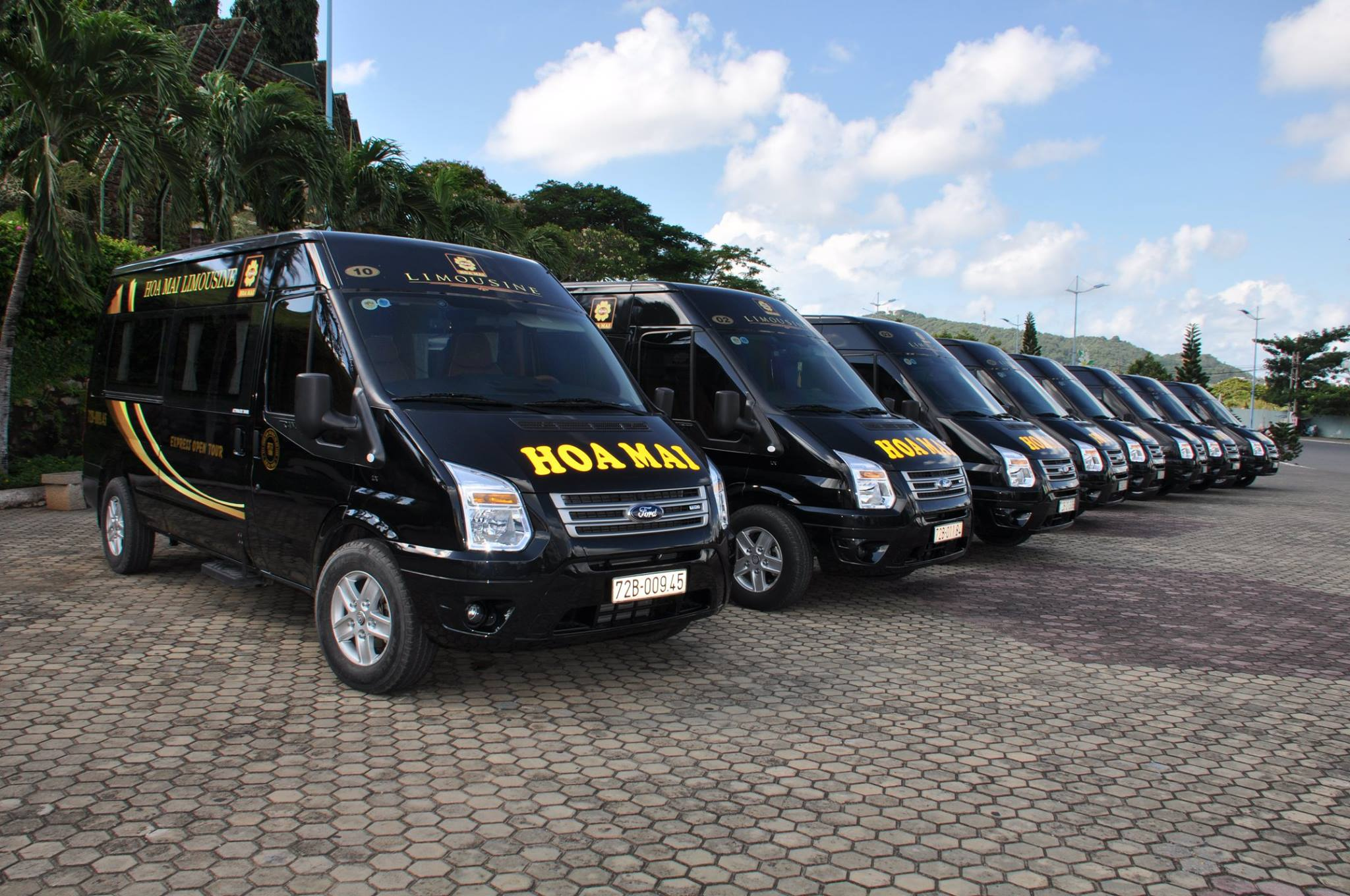 Xe Hoa Mai Đi Vũng Tàu Từ Sài Gòn