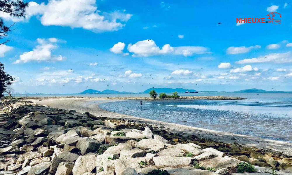 Dịch vụ thuê xe đi cần giờ