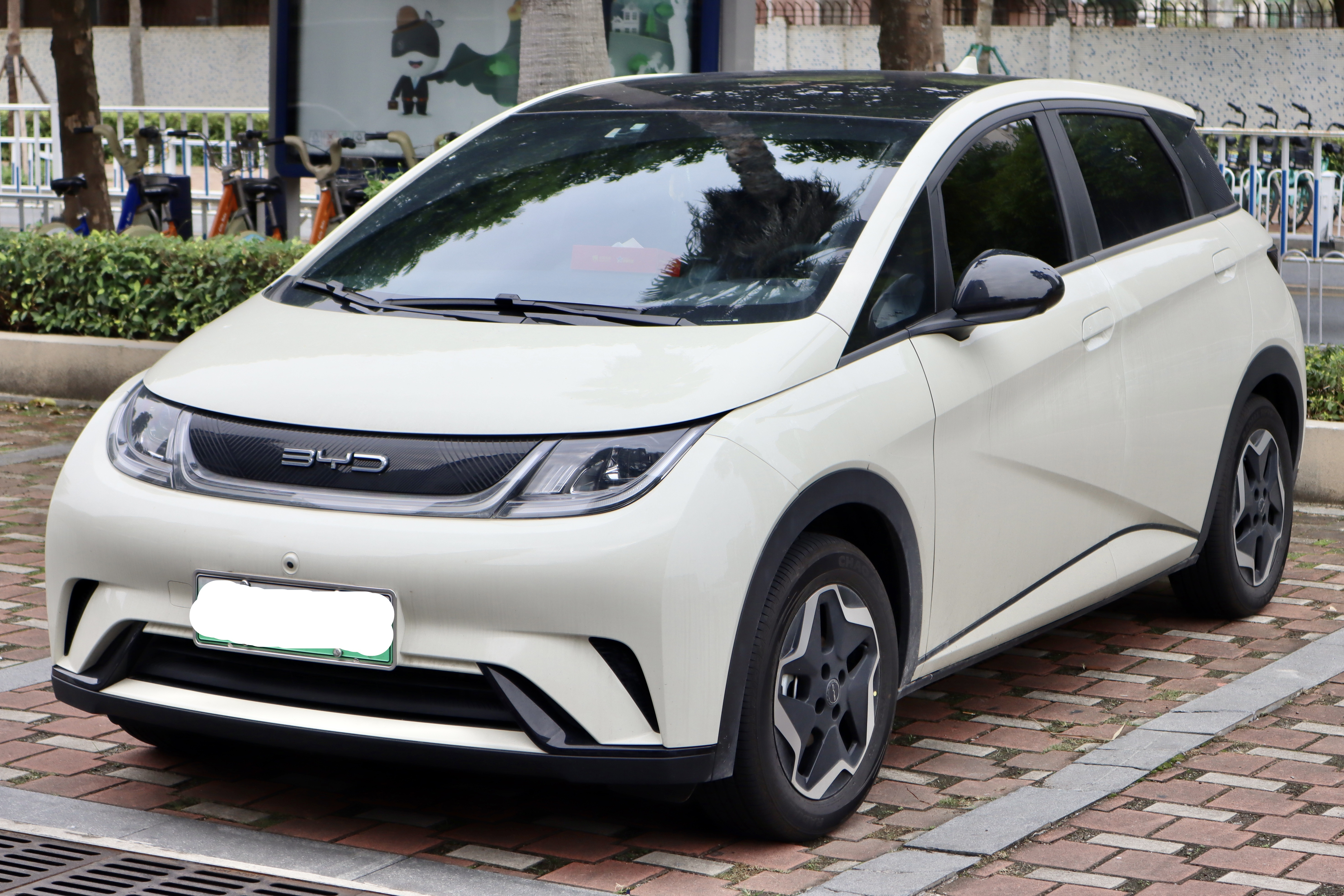 BYD Dolphin