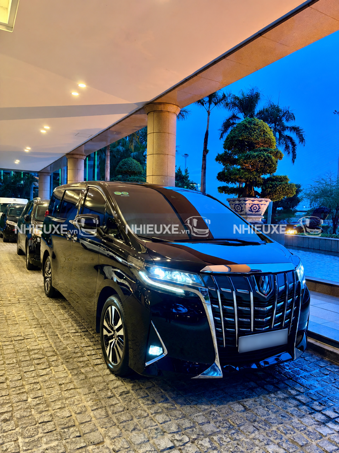 Alphard mẫu cũ