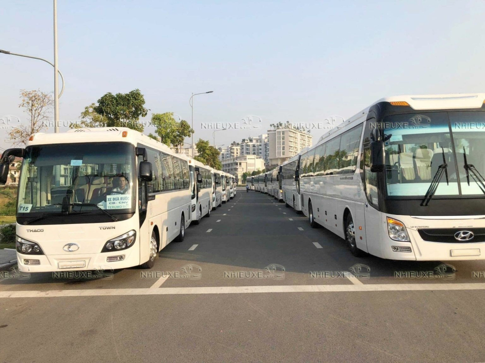 Thuê xe du lịch tại TPHCM