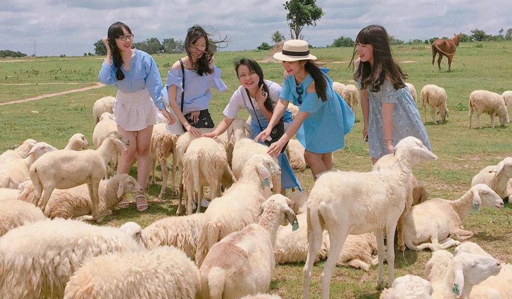 Du lịch Vũng Tàu -  Đồi Cừu Suối Nghệ