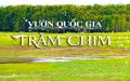 Cho Thuê Xe Đi Vườn Quốc Gia Tràm Chim CHẤT LƯỢNG, GIÁ RẺ