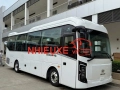 Giá thuê xe KIM LONG 29-N29 và KIM LONG 29-N34 - Giá Rẻ tại Nhiều Xe
